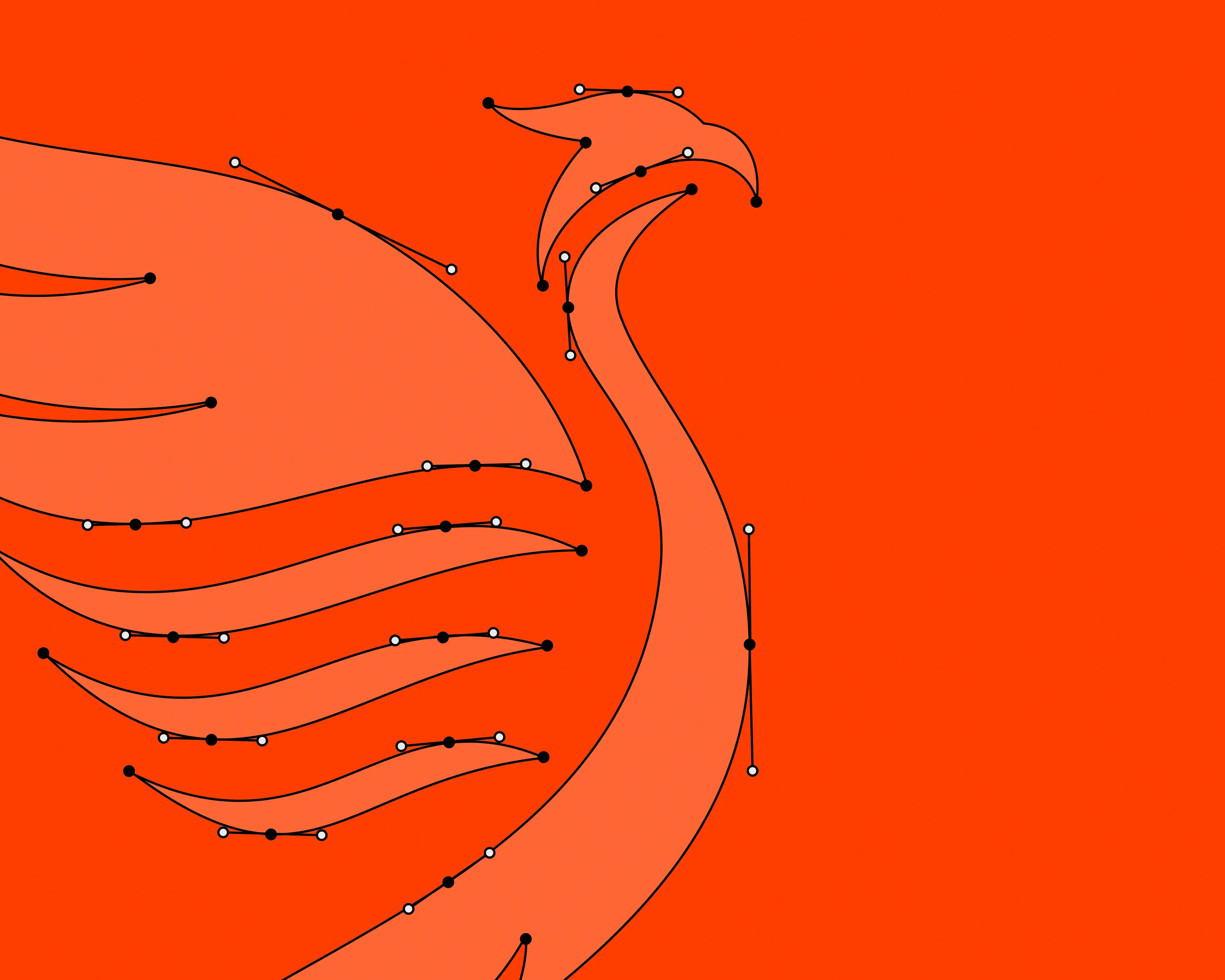 Fenix Project Image 1